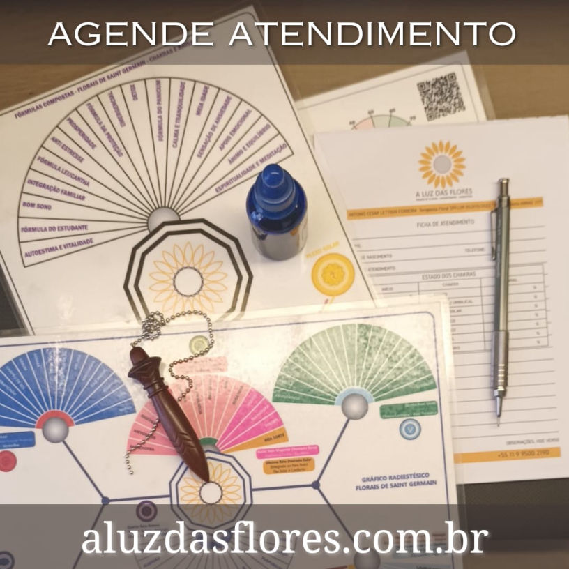 aluzdasflores